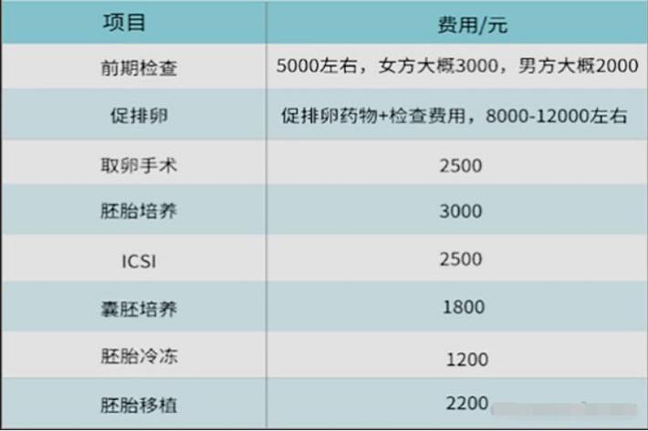 代孕成功要多少费用