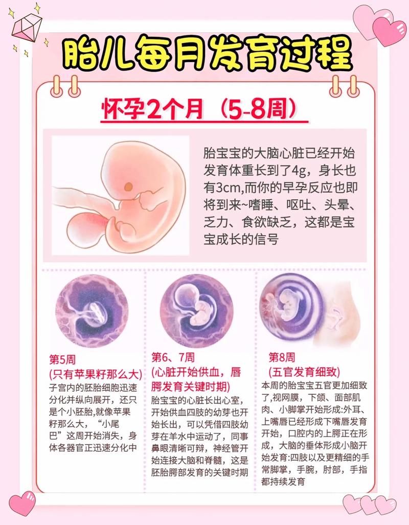 代孕成功案例